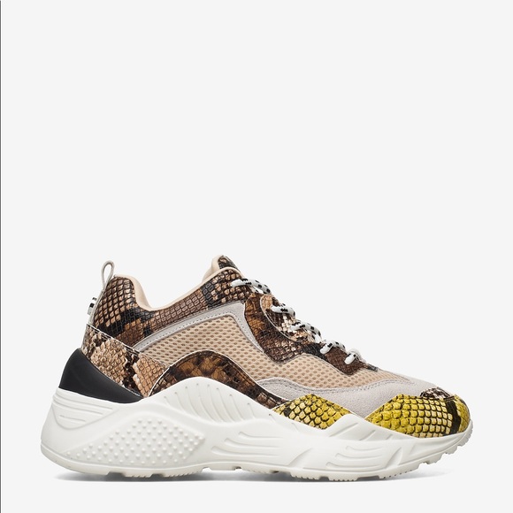 steve madden snakeskin trainers